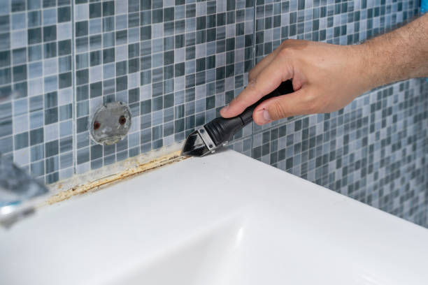 Best Toxic Mold Removal  in Wilton, IA